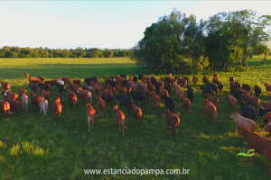 Fazenda Reconquista - Cachoeira do Sul.00_01_05_05.Quadro014_9fa1a2c8ebe147fc0935b49fe92479699ed4d6f2.png